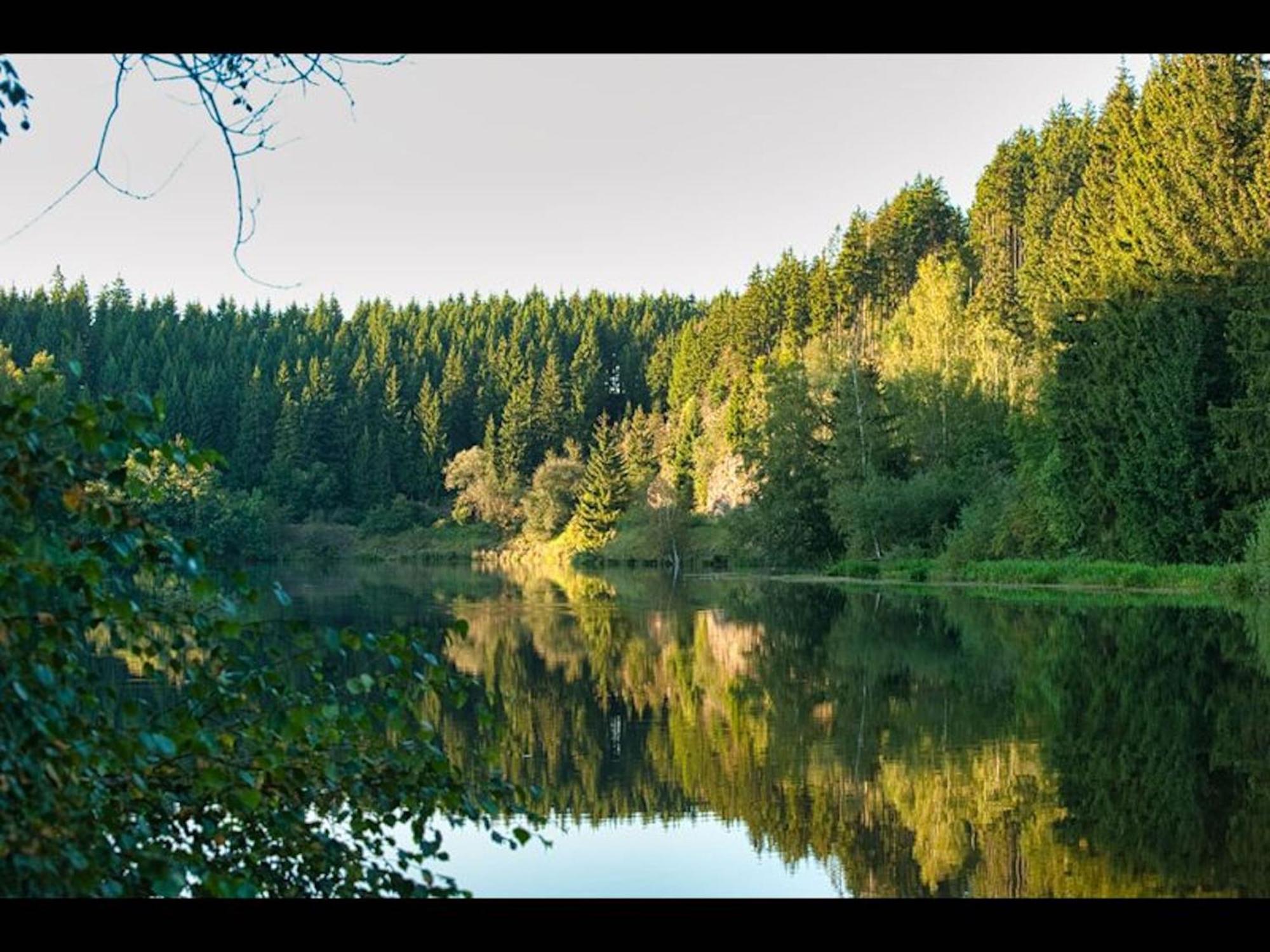 The House To Stay For Holidays Hasselfelde Eksteriør billede